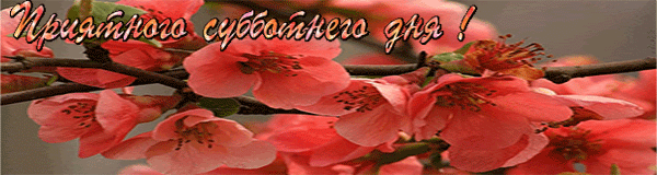 Интересные открытки на субботу. Веселые открытки на выходные.