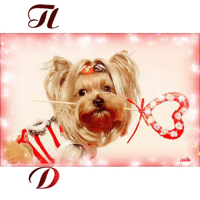 Красивые анимационные открытки с различными приветствиями скачать бесплатно.