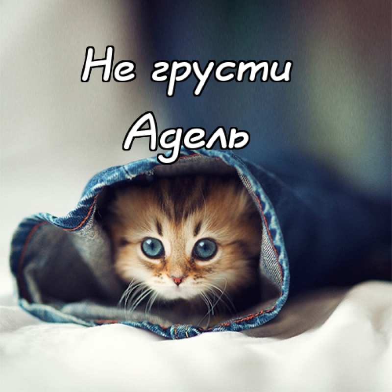 Открытки с женскими именами. Поздравительные открытки с именем Адель. Открытк...