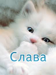 Открытки с именем Вячеслав скачать бесплатно. Открытки с днём рождения Слава. 