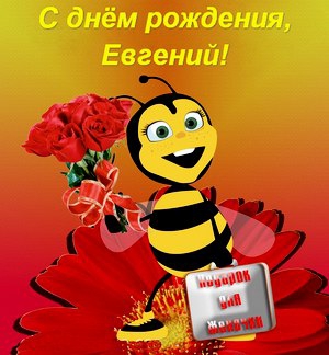 Открытки с именем Евгений gif. Открытки с днём рождения Женя. Открытки с имен...