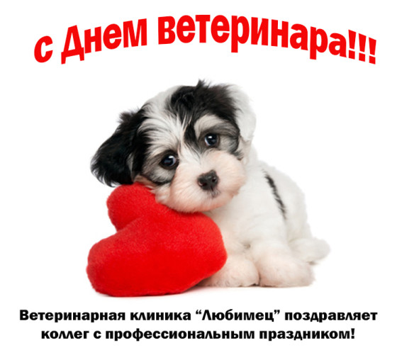 Поздравительные открытки с днем ветеринара скачать бесплатно.
