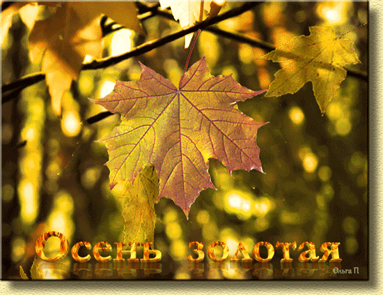 Чудесные открытки на тему Золотая Осень скачать бесплатно gif.