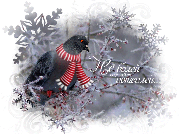 Открытки скорейшего выздоровления скачать бесплатно в формате gif.