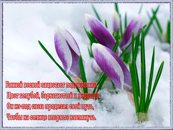 Красивые мерцающие открытки на весеннюю тематику. Скачать бесплатно открытки с весной.