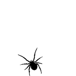 Разнообразные открытки на пятницу 13. Открытки с пятницей 13 скачать бесплатно.