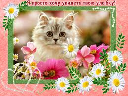 Весёлые открытки с пожеланиями улыбнись. Открытки с улыбкой скачать бесплатно.