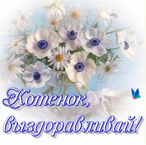 Открытки скорейшего выздоровления скачать бесплатно в формате gif.