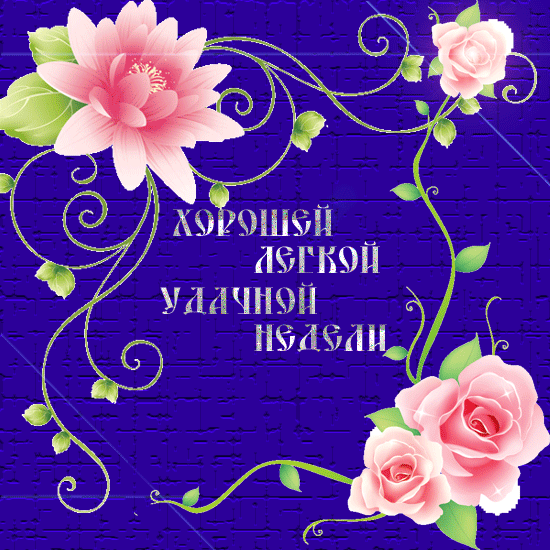 Забавные открытки с пожеланиями удачной недели. Открытки удачной недели скача...