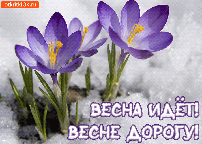 Красивые мерцающие открытки на весеннюю тематику. Скачать бесплатно открытки ...