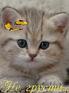 Мерцающие открытки с пожеланиями не грустить. Открытки не грусти скачать бесплатно.