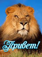 Поздравительные открытки с именем Лев. Открытки с мужскими именами. Открытки ...