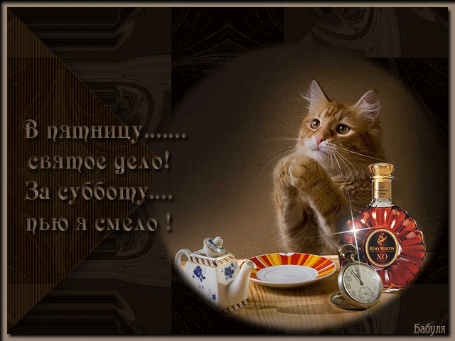 Интересные открытки на субботу. Веселые открытки на выходные.