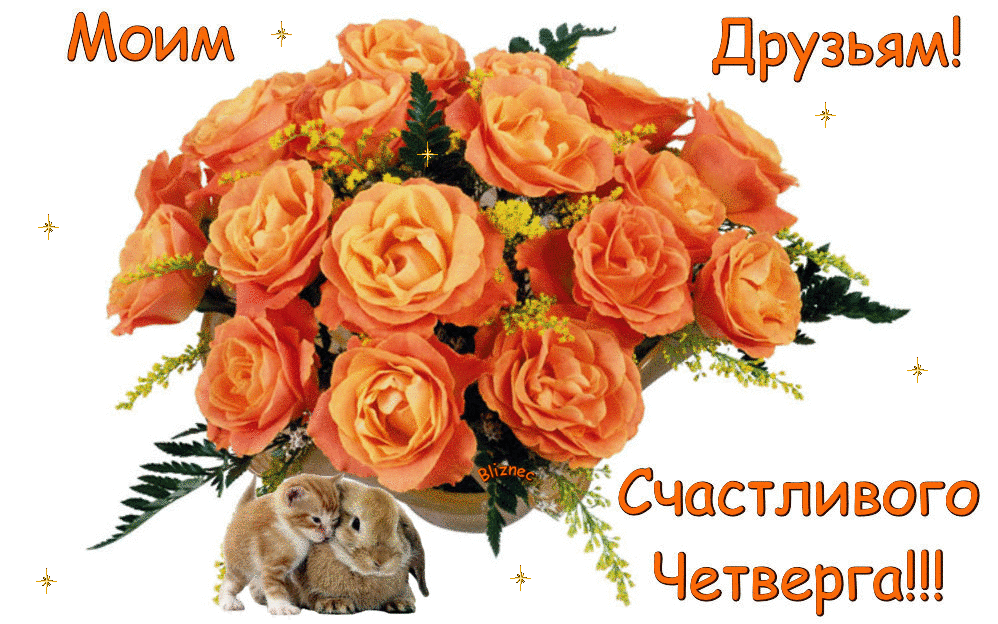 Открытки отличного четверга скачать бесплатно. Прикольные открытки на четверг...