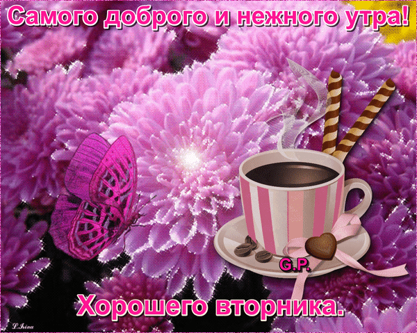 Позитивные открытки на вторник. Картинки про вторник скачать бесплатно.