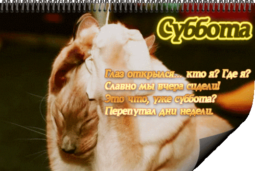 Интересные открытки на субботу. Веселые открытки на выходные. 