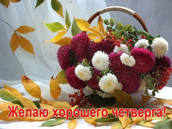 Открытки отличного четверга скачать бесплатно. Прикольные открытки на четверг...