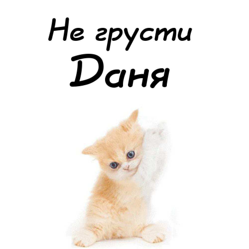 Открытки с именем Даниил gif. Открытки с именем Данил скачать бесплатно.