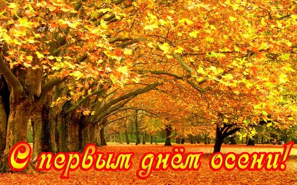 Красивые анимационные открытки на первый день осени скачать бесплатно