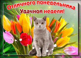 Открытки с пожеланиями легкого понедельника скачать бесплатно.