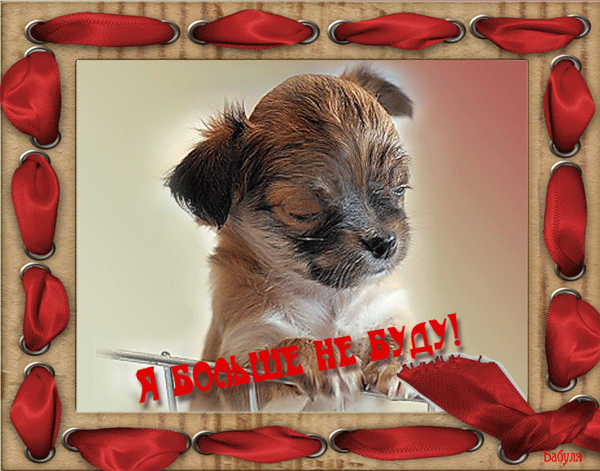 Открытки Открытки Давай Мириться Электронные Открытки Давай Помирим.