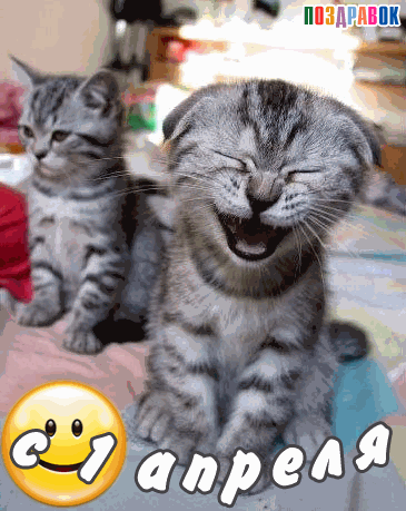 Открытки с 1 апреля скачать бесплатно. С 1 апреля анимационные открытки. 