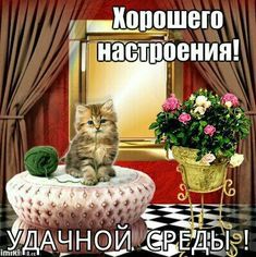 Открытки с пожеланиями отличной среды. Красивые открытки на среду.