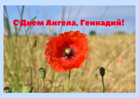 Открытки с днём рождения Гена. Открытки с именем Геннадий скачать бесплатно.