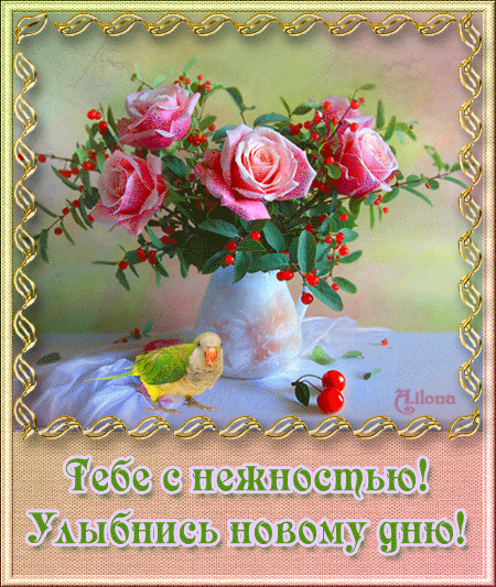 Весёлые открытки с пожеланиями улыбнись. Открытки с улыбкой скачать бесплатно.