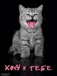 Анимационные открытки хочу к тебе. Мерцающие картинки хочу к тебе.