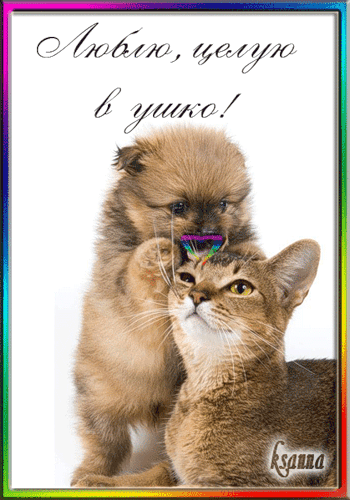 Оригинальные открытки с надписью целую. Открытки с поцелуями на любой вкус.