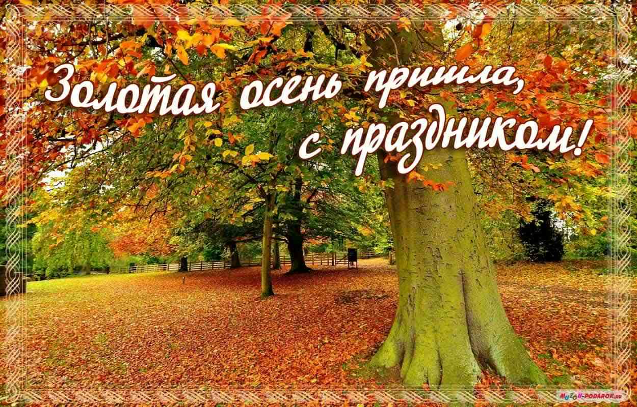 Красивые анимационные открытки на первый день осени скачать бесплатно