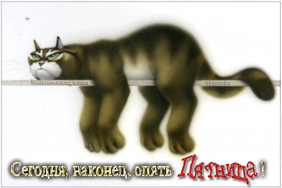 Прикольные открытки на пятницу. Открытки с пожеланиями на пятницу скачать бес...