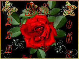 Красивые открытки для тебя скачать бесплатно. Анимационные открытки тебе gif