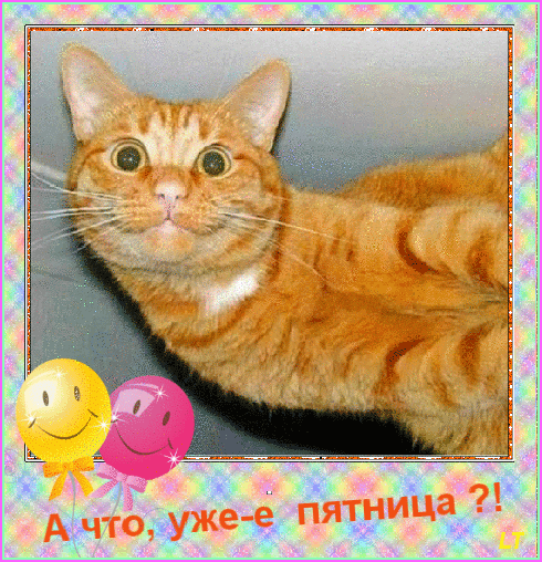 Прикольные открытки на пятницу. Открытки с пожеланиями на пятницу скачать бес...
