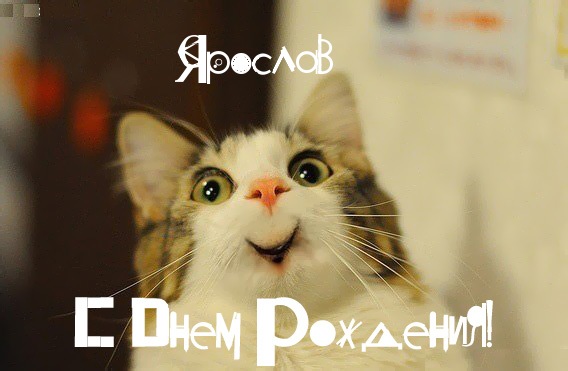 С днём рождения Ярослав открытки. Открытки с именем Ярик. Поздравительные отк...