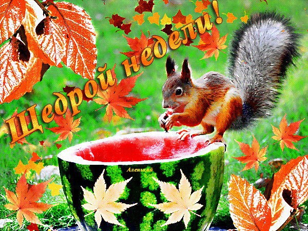 Забавные открытки с пожеланиями удачной недели. Открытки удачной недели скача...