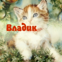 Поздравительные открытки с мужскими именами. Открытки с именем Владислав скач...