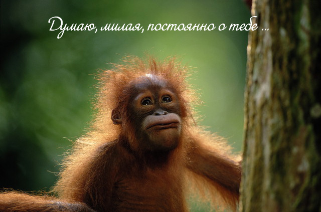 Анимационные открытки с признаниями. Открытки думаю о тебе gif.