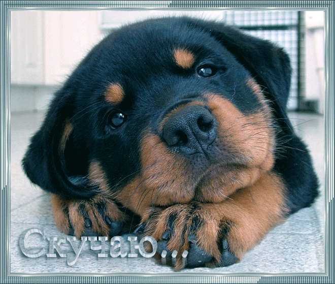 Анимационные открытки скучаю по тебе. Открытки я так скучаю скачать бесплатно.