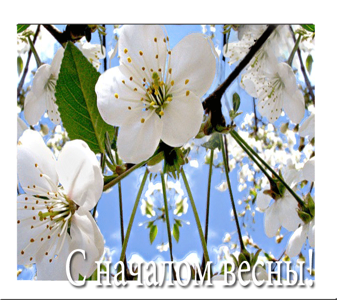 Красивые мерцающие открытки на весеннюю тематику. Скачать бесплатно открытки ...