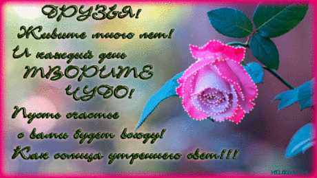 Красивые открытки для любимых друзей. Открытки о дружбе скачать бесплатно.