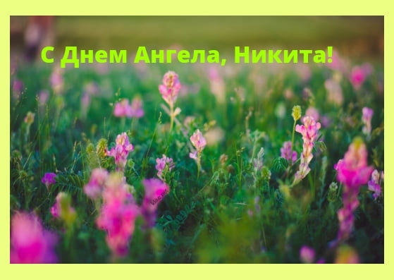 Поздравительные открытки с именем Никита. Красивые открытки с именем Никита. 