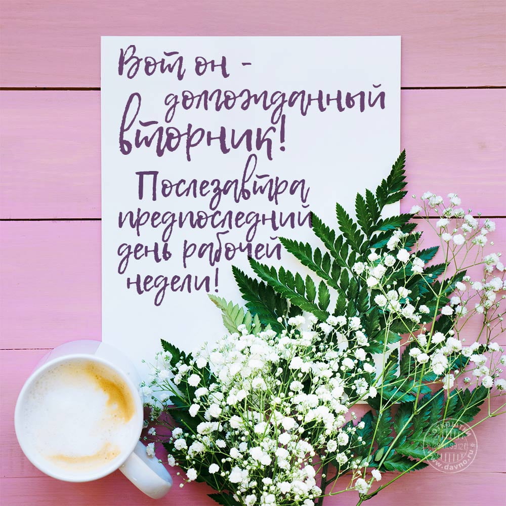 Позитивные открытки на вторник. Картинки про вторник скачать бесплатно.