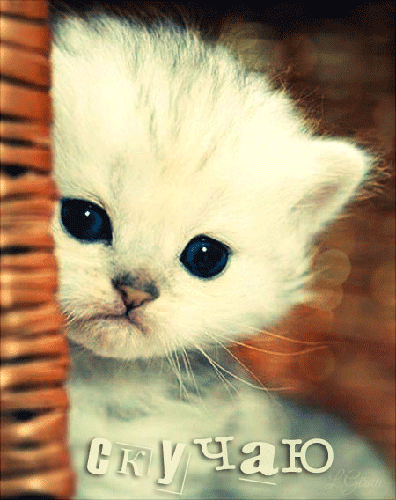 Анимационные открытки скучаю по тебе. Открытки я так скучаю скачать бесплатно.