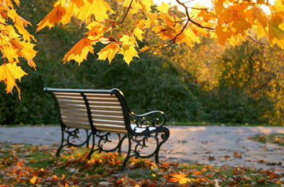 Оригинальные открытки с изображением осени. Открытки осень скачать бесплатно.