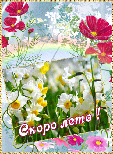 Открытки на тему лета скачать бесплатно. Анимационные открытки про лето.