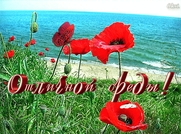 Открытки с пожеланиями отличной среды. Красивые открытки на среду.