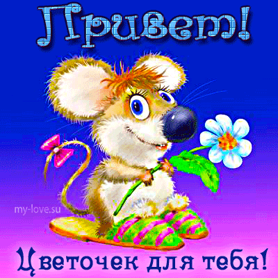 Красивые анимационные открытки с различными приветствиями скачать бесплатно.