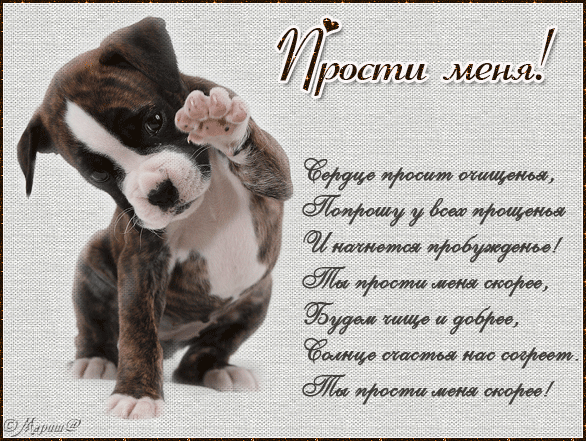 Красивые открытки с извинениями скачать бесплатно. Открытки прости меня gif.